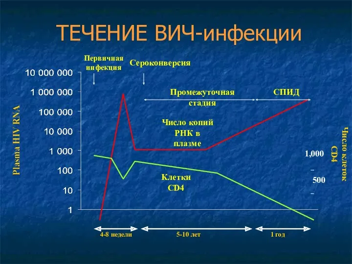 ТЕЧЕНИЕ ВИЧ-инфекции Число копий РНК в плазме Клетки CD4 4-8