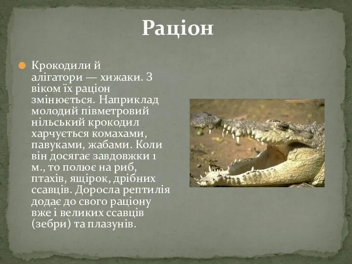 Раціон Крокодили й алігатори — хижаки. З віком їх раціон