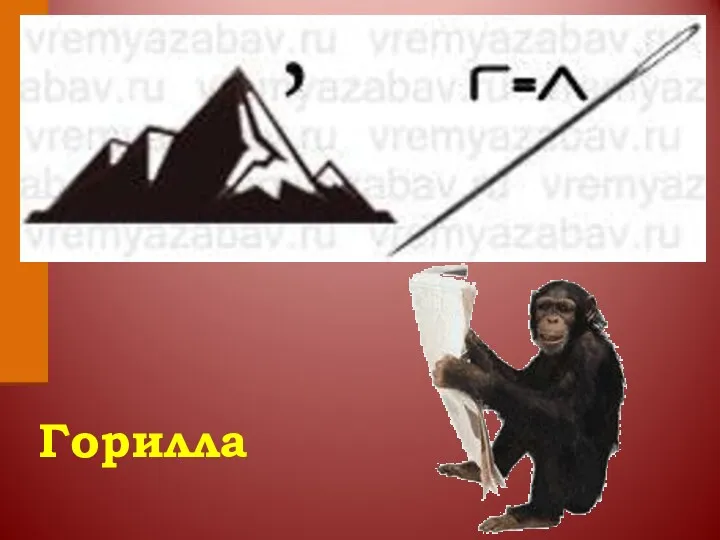 Горилла