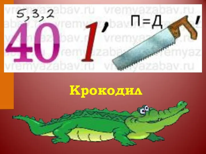 Крокодил