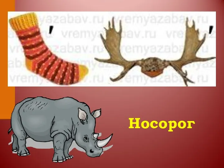 Носорог