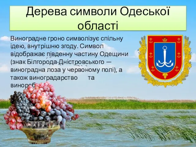 Дерева символи Одеської області Виноградне гроно символізує спільну ідею, внутрішню