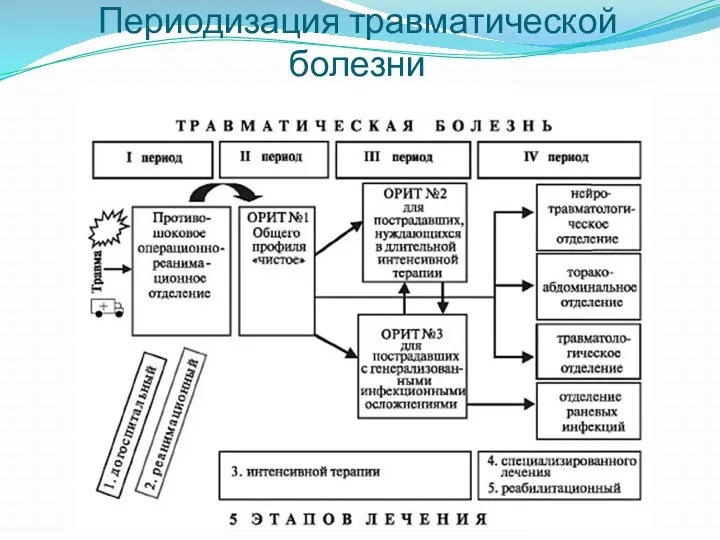 Периодизация травматической болезни