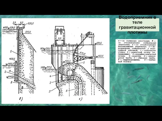 Водоприемник в теле гравитационной плотины