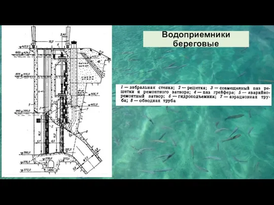 Водоприемники береговые