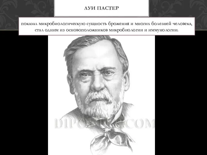 ЛУИ ПАСТЕР показал микробиологическую сущность брожения и многих болезней человека,