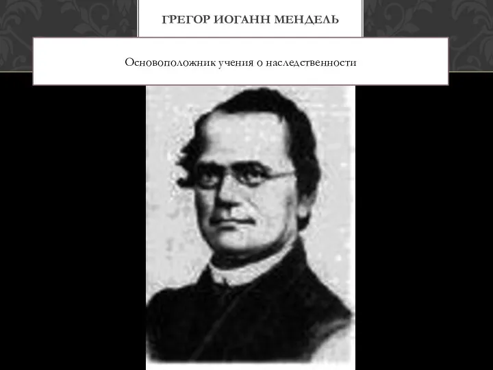 ГРЕГОР ИОГАНН МЕНДЕЛЬ Основоположник учения о наследственности