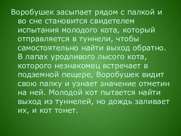 Воробушек засыпает рядом с палкой и во сне становится свидетелем