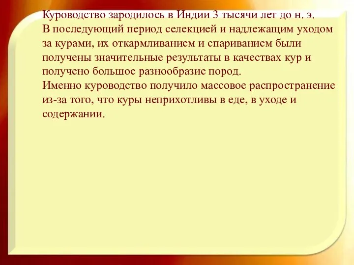 Куроводство зародилось в Индии 3 тысячи лет до н. э.