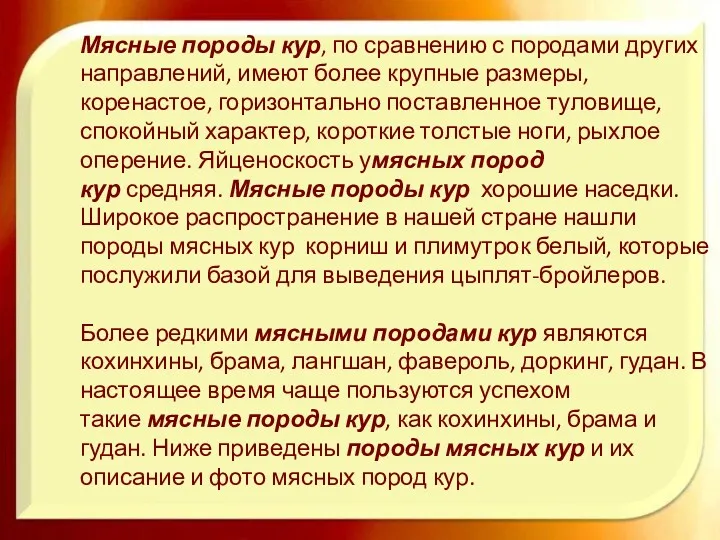 Мясные породы кур, по сравнению с породами других направлений, имеют