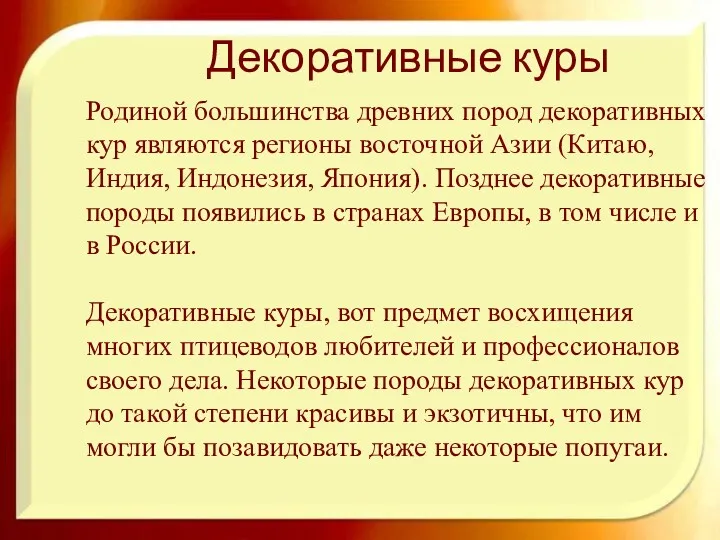 Декоративные куры Родиной большинства древних пород декоративных кур являются регионы