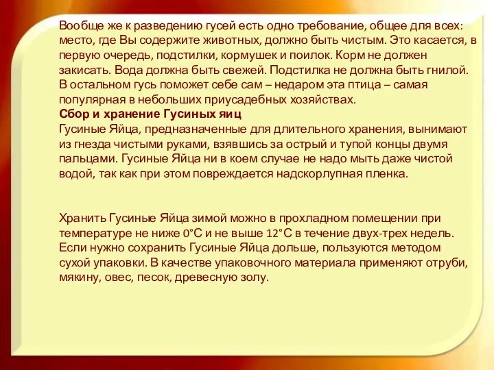 Вообще же к разведению гусей есть одно требование, общее для