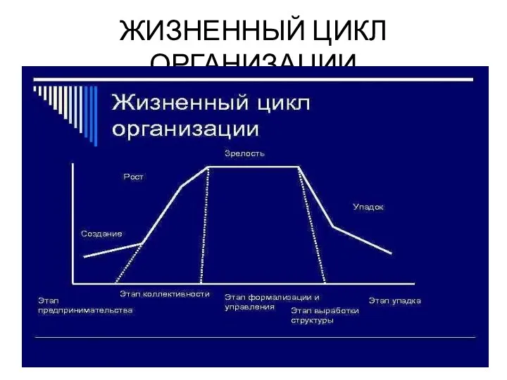 ЖИЗНЕННЫЙ ЦИКЛ ОРГАНИЗАЦИИ