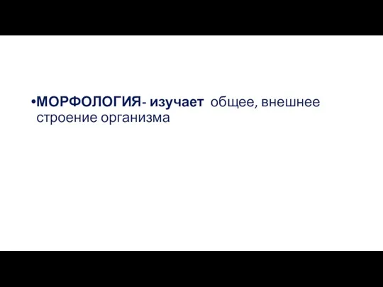 МОРФОЛОГИЯ- изучает общее, внешнее строение организма