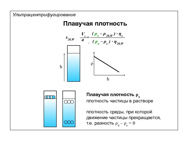 ρ h Плавучая плотность Плавучая плотность ρч плотность среды, при