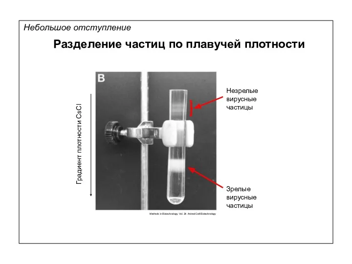 Небольшое отступление Разделение частиц по плавучей плотности Methods in Biotechnology, Vol. 24: Animal