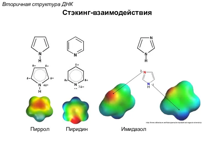 Стэкинг-взаимодействия Вторичная структура ДНК Пиррол Пиридин Имидазол http://www.slideshare.net/katsuyama/computational-organic-chemistry