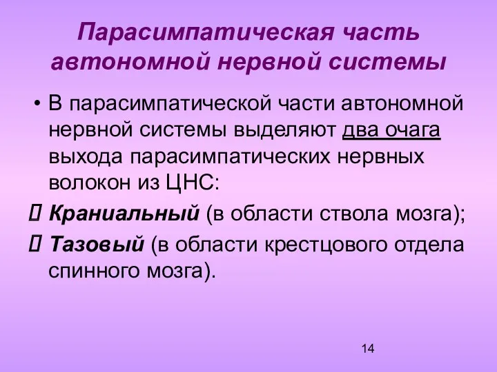 Парасимпатическая часть автономной нервной системы В парасимпатической части автономной нервной