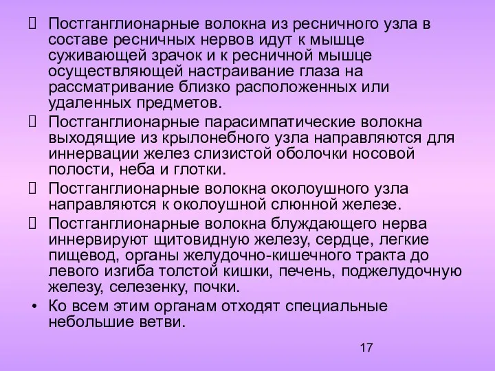 Постганглионарные волокна из ресничного узла в составе ресничных нервов идут