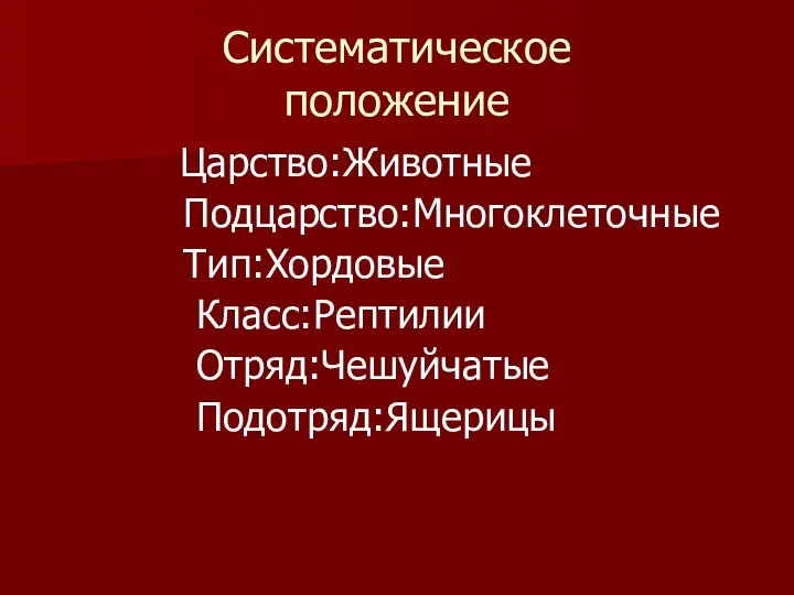 Систематическое положение Царство:Животные Подцарство:Многоклеточные Тип:Хордовые Класс:Рептилии Отряд:Чешуйчатые Подотряд:Ящерицы