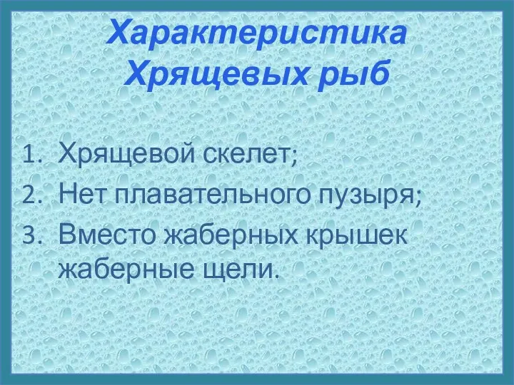 Характеристика Хрящевых рыб Хрящевой скелет; Нет плавательного пузыря; Вместо жаберных крышек жаберные щели.