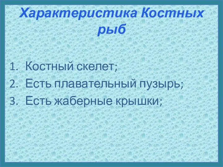 Характеристика Костных рыб Костный скелет; Есть плавательный пузырь; Есть жаберные крышки;