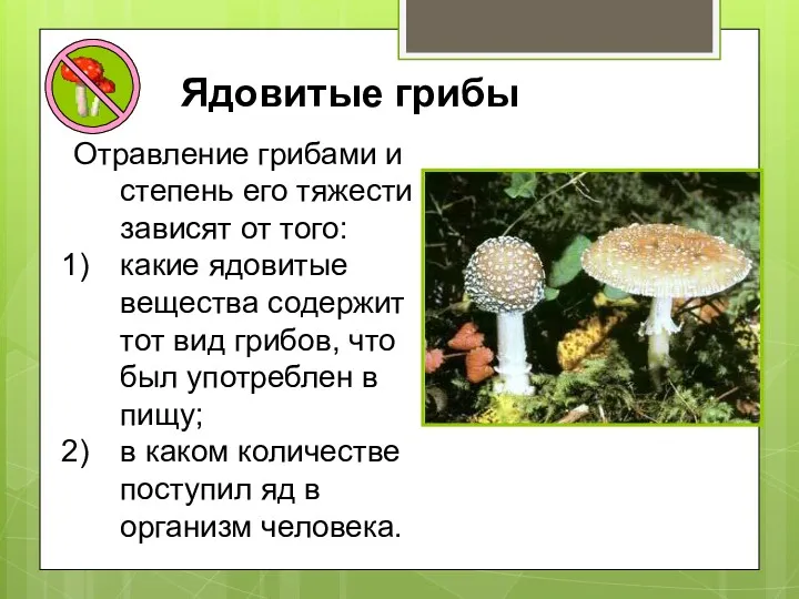 Ядовитые грибы Отравление грибами и степень его тяжести зависят от