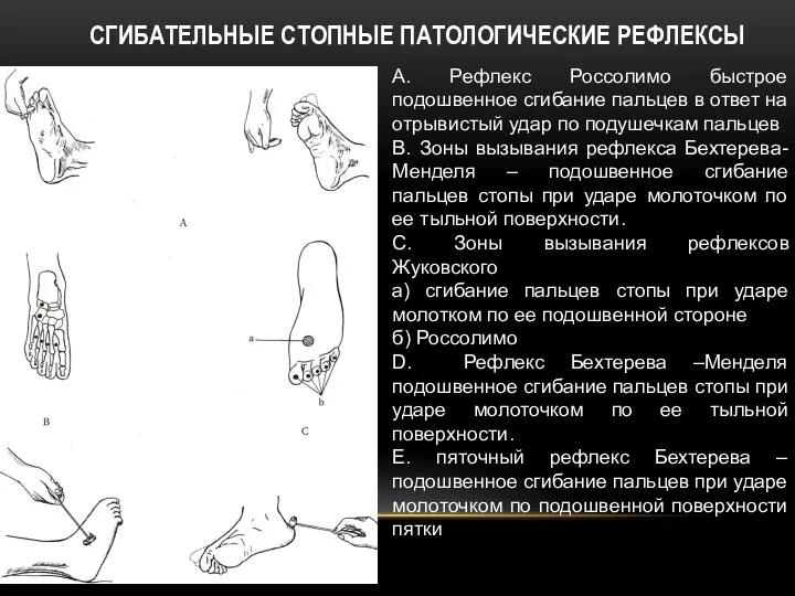 СГИБАТЕЛЬНЫЕ СТОПНЫЕ ПАТОЛОГИЧЕСКИЕ РЕФЛЕКСЫ А. Рефлекс Россолимо быстрое подошвенное сгибание пальцев в ответ