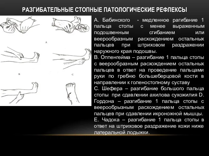 РАЗГИБАТЕЛЬНЫЕ СТОПНЫЕ ПАТОЛОГИЧЕСКИЕ РЕФЛЕКСЫ А. Бабинского - медленное рагибание 1