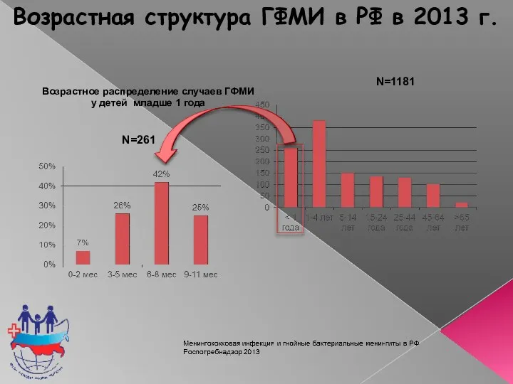 Возрастная структура ГФМИ в РФ в 2013 г. Возрастное распределение