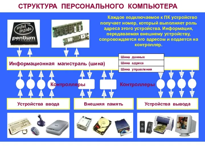 СТРУКТУРА ПЕРСОНАЛЬНОГО КОМПЬЮТЕРА Информационная магистраль (шина) Устройства ввода Устройства вывода