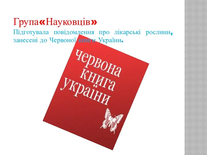 Група«Науковців» Підготувала повідомлення про лікарські рослини, занесені до Червоної книги України.