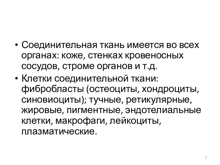 Соединительная ткань имеется во всех органах: коже, стенках кровеносных сосудов,