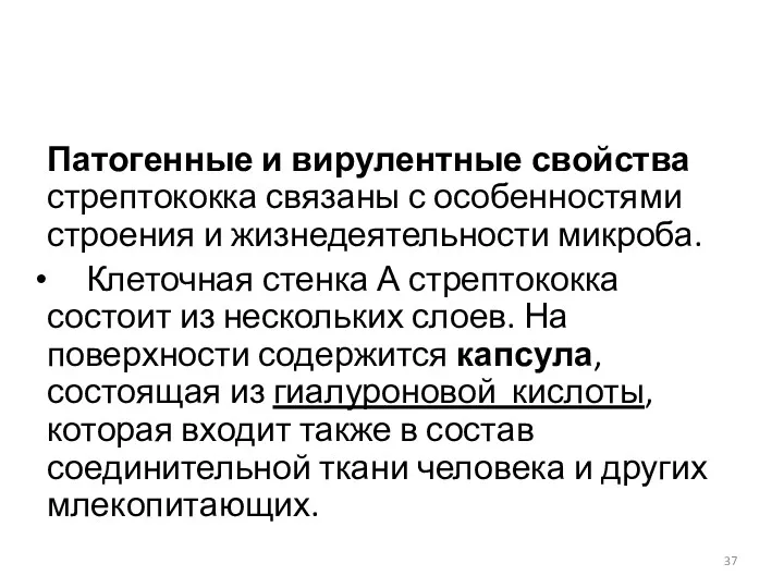 Патогенные и вирулентные свойства стрептококка связаны с особенностями строения и