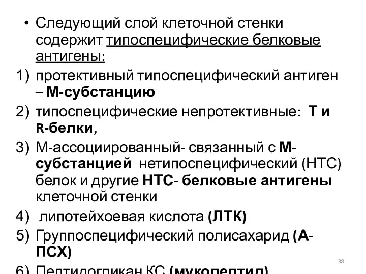 Следующий слой клеточной стенки содержит типоспецифические белковые антигены: протективный типоспецифический