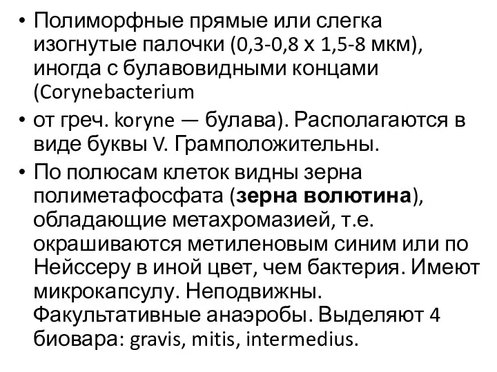 Полиморфные прямые или слегка изогнутые палочки (0,3-0,8 х 1,5-8 мкм),