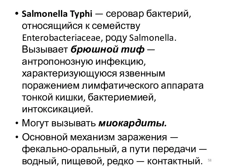 Salmonella Typhi — серовар бактерий, относящийся к семейству Enterobacteriaceae, роду