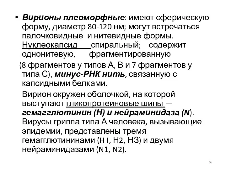 Вирионы плеоморфные: имеют сферическую форму, диаметр 80-120 нм; могут встречаться