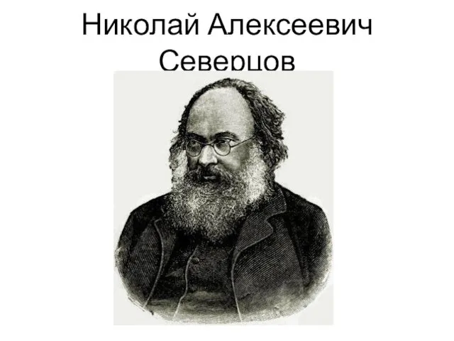 Николай Алексеевич Северцов