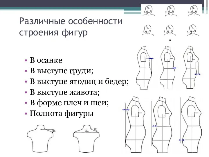 Различные особенности строения фигур В осанке В выступе груди; В выступе ягодиц и