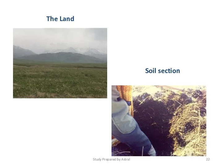 The Land Soil section Study Prepared by Astral