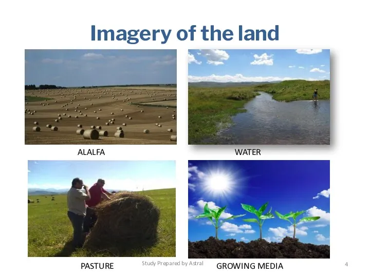 ALALFA WATER PASTURE GROWING MEDIA Study Prepared by Astral Imagery of the land