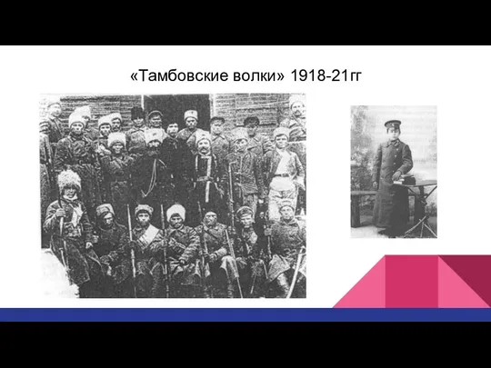 «Тамбовские волки» 1918-21гг