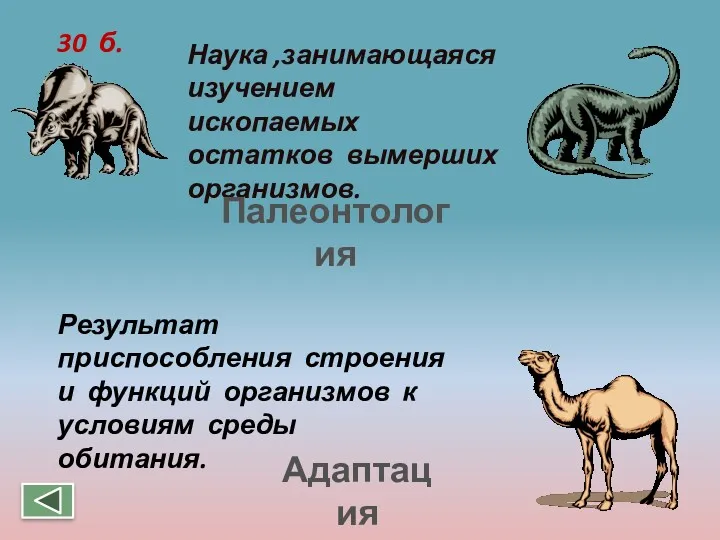 30 б. Результат приспособления строения и функций организмов к условиям