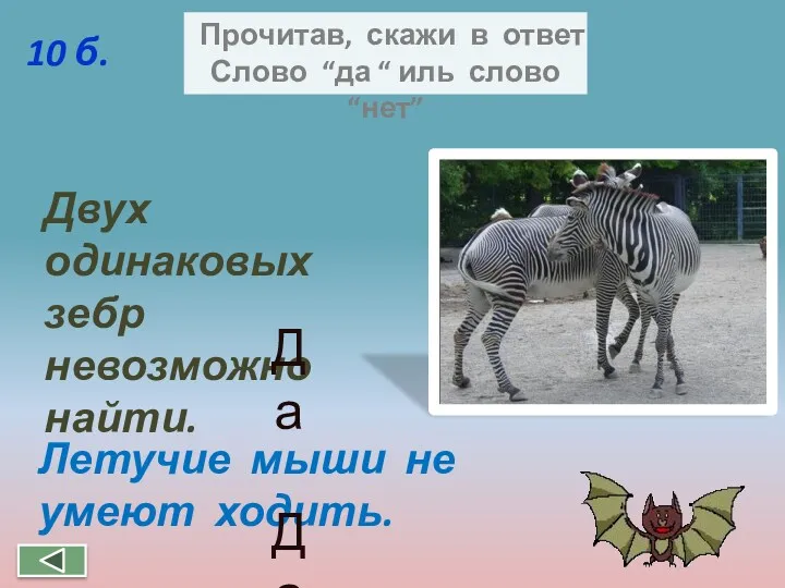 Прочитав, скажи в ответ Слово “да “ иль слово “нет” Двух одинаковых зебр