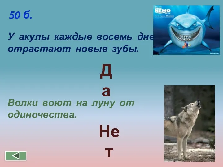 У акулы каждые восемь дней отрастают новые зубы. Волки воют на луну от