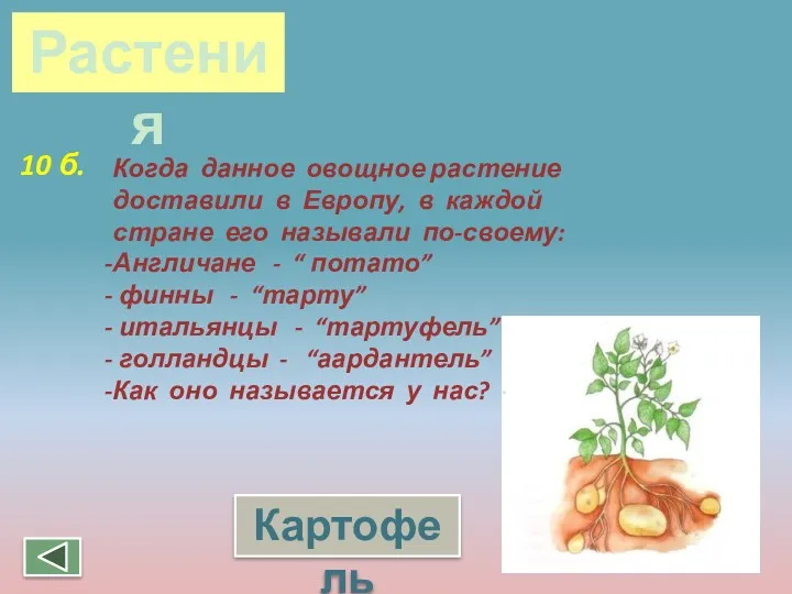 Когда данное овощное растение доставили в Европу, в каждой стране его называли по-своему: