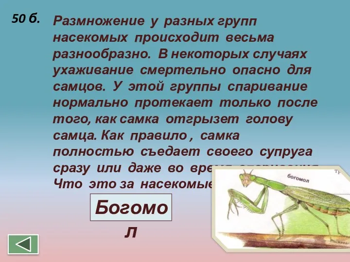 Размножение у разных групп насекомых происходит весьма разнообразно. В некоторых случаях ухаживание смертельно