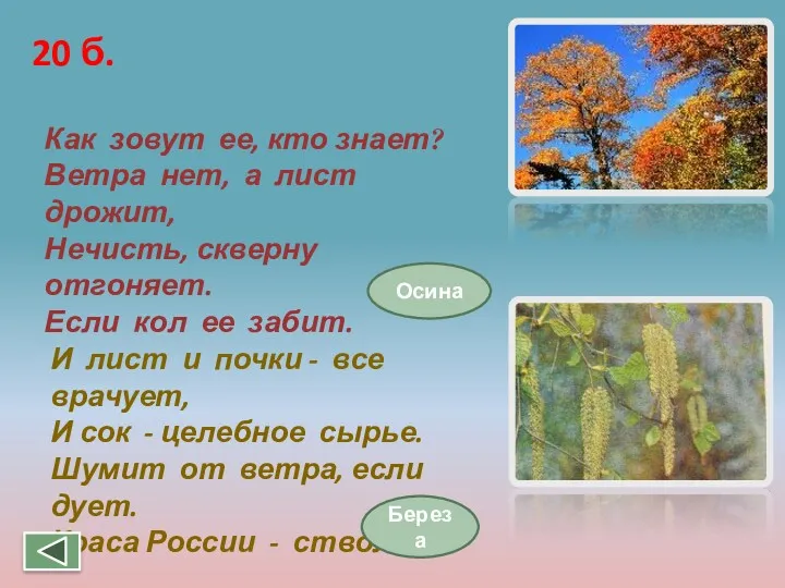 Как зовут ее, кто знает? Ветра нет, а лист дрожит, Нечисть, скверну отгоняет.