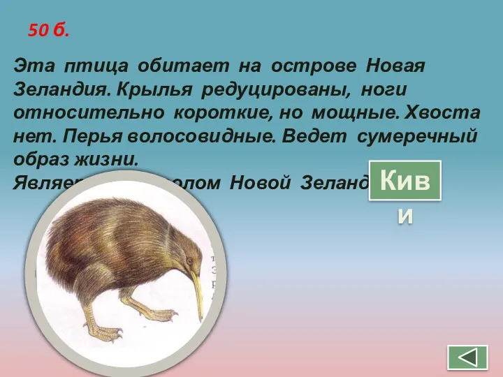 50 б. Эта птица обитает на острове Новая Зеландия. Крылья